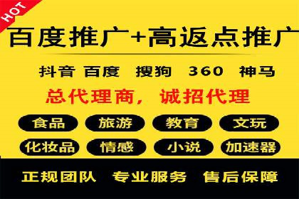 SEM代理实战：成功案例分享与经验总结